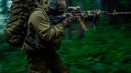 Rat u šumi: taktike preživljavanja i borbe